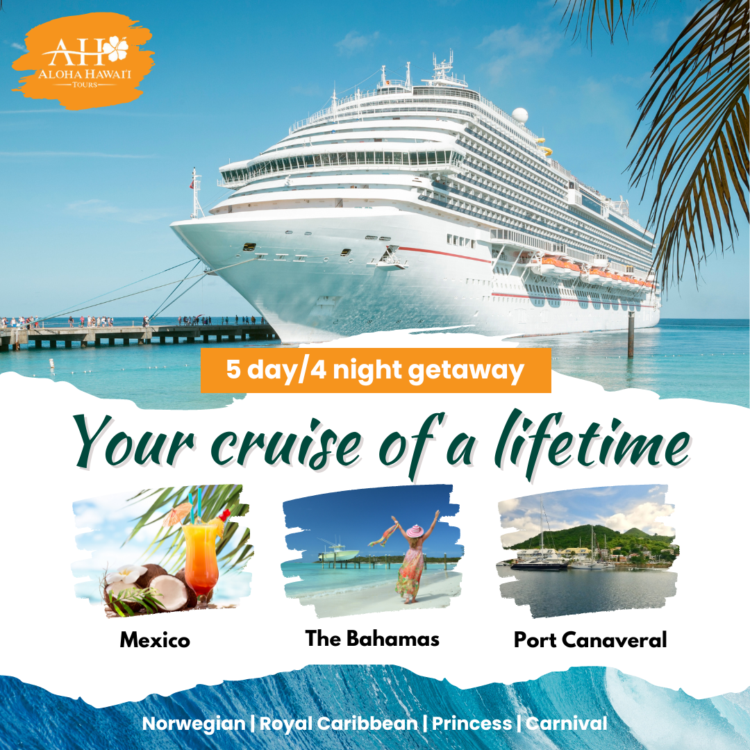Cruise2_PNG33